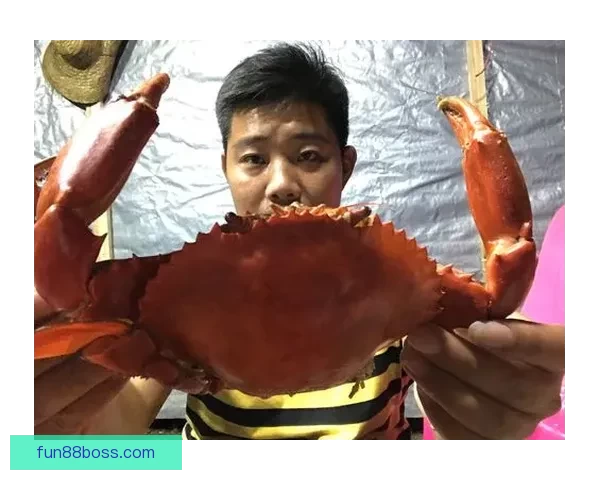 世界杯竞猜入口全面开启，参与即有机会赢取丰厚奖品，快来一探究竟！